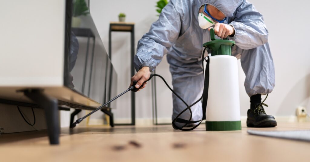 בעיית מזיקים בבית
